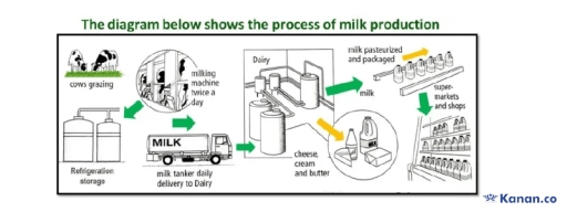 IELTS Writing Task 1 visual
